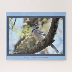 Mooie Blauwe Jay; Bird Lover Legpuzzel