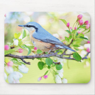 Mooie Blauwe Jay op een Branch of Berries Muismat