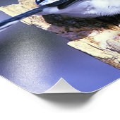 Mooie blauwe jay-vogel foto afdruk (Hoek)