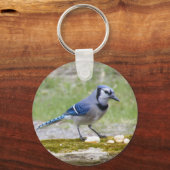 Mooie blauwe jay-vogel sleutelhanger (Voorkant)