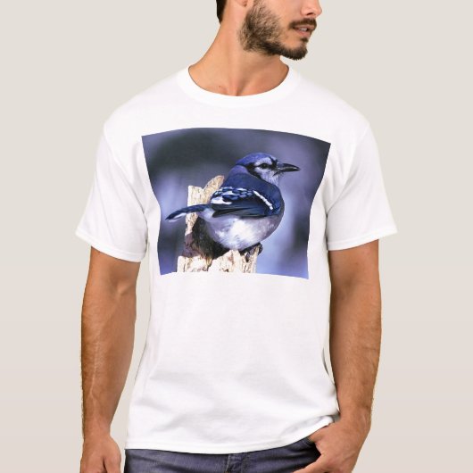 Mooie blauwe jay-vogel t-shirt (Voorkant)