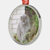Mooie blauwe kat metalen ornament (Links)