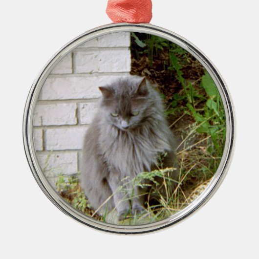 Mooie blauwe kat metalen ornament (Voorkant)