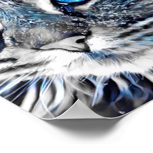 Mooie blauwe kat poster (Hoek)