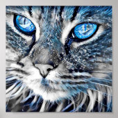 Mooie blauwe kat poster (Voorkant)
