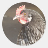 Mooie blauwe kip ronde sticker (Voorkant)