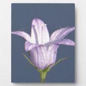 Mooie blauwe klokbloem fotoplaat (Voorkant)