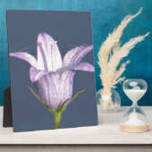 Mooie blauwe klokbloem fotoplaat (Zijkant)