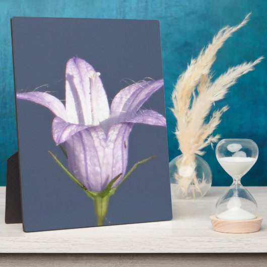 Mooie blauwe klokbloem fotoplaat (Zijkant)
