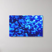 Mooie blauwe kwal