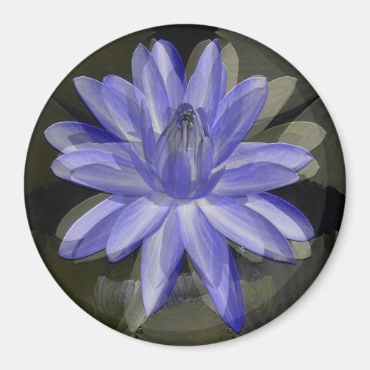 Mooie blauwe lib..... magneet (Voorkant)