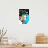 Mooie blauwe mannetje poster (Keuken)