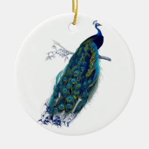 Mooie blauwe Natuur van de vogelstaart Keramisch Ornament