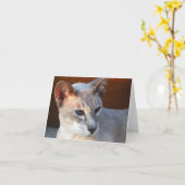 Mooie blauwe ogen kaart (Gele Bloem)