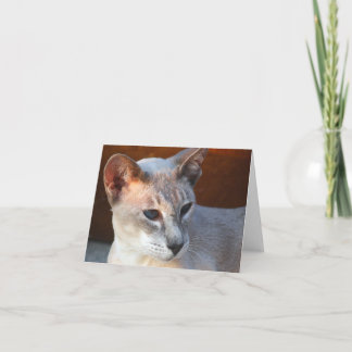 Mooie blauwe ogen kaart