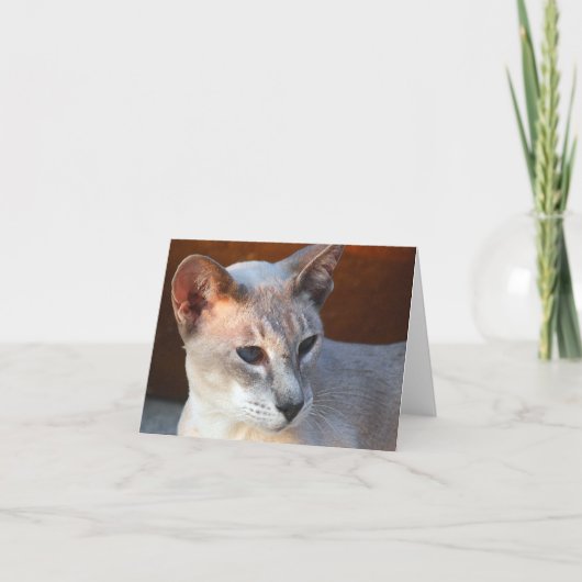 Mooie blauwe ogen kaart (Voorkant)