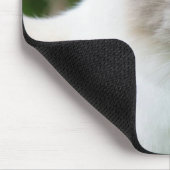 Mooie Blauwe Ogen Kitten Muismat (Hoek)