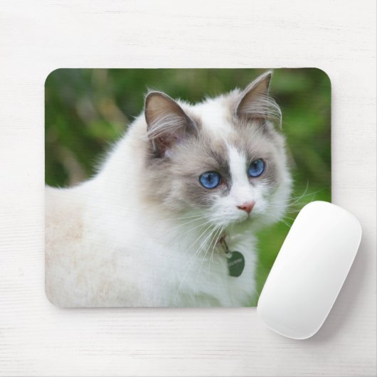 Mooie Blauwe Ogen Kitten Muismat (Met muis)