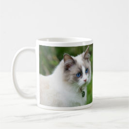 Mooie blauwe-ogige Ragdoll kitten Koffiemok