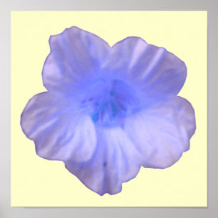 Mooie Blauwe Oostindische-Kers Print