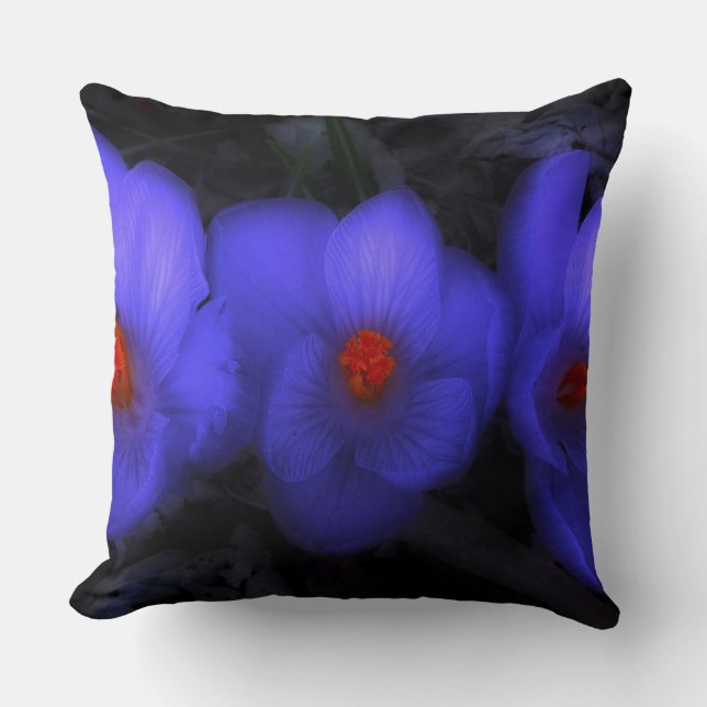 Mooie blauwe Paarse Crocus Blooms Kussen (Voorkant)