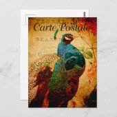  mooie blauwe pacock Floral Frans Briefkaart (Voorkant / Achterkant)