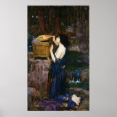 Mooie blauwe Pandora Poster (Voorkant)