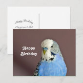 Mooie Blauwe Parkiet Foto Verjaardagsansichtkaart Briefkaart (Voorkant / Achterkant)