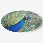 Mooie blauwe pauwenveren papieren bordje (Gekanteld)