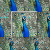 Mooie blauwe pauwenveren stof (Delen)