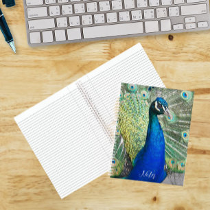 Mooie Blauwe Pauwveren Foto Notitieboek