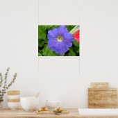 Mooie Blauwe Petunia Print (Keuken)