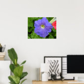 Mooie Blauwe Petunia Print (Thuiskantoor)