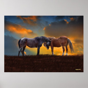 Mooie Blauwe Roan en Palomino-paarden Poster