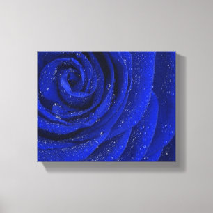 Mooie blauwe roos bloem in de ochtend canvas afdruk