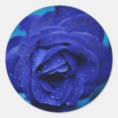 Mooie Blauwe Rozen Sticker (Voorkant)