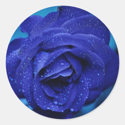 Mooie Blauwe Rozen Sticker (Voorkant)