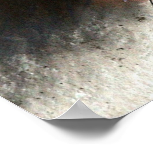 Mooie blauwe sierbloemen poster (Hoek)