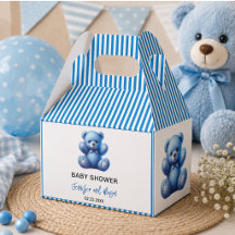 Mooie Blauwe Teddybeer Vintage Baby Jongensfeestje