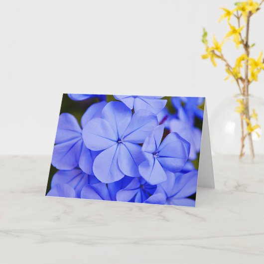 Mooie blauwe tropische bloemen Kaart (Gele Bloem)