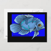Mooie blauwe tropische Oscar vis Briefkaart (Voorkant / Achterkant)