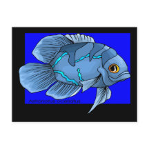 Mooie blauwe tropische Oscar vis