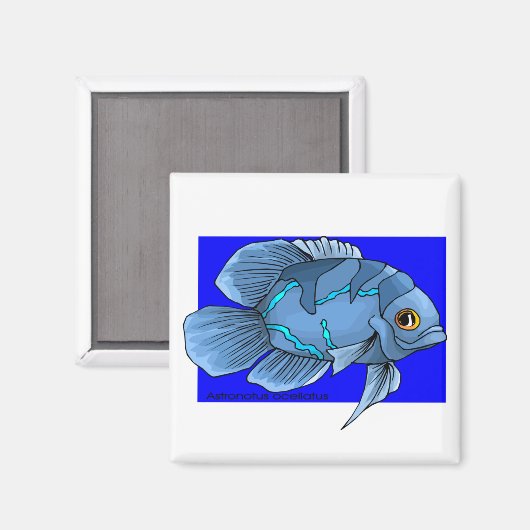 Mooie blauwe tropische Oscar vis Magneet (Voorkant / Achterkant)