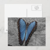 Mooie blauwe vlinder briefkaart (Voorkant / Achterkant)