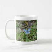 Mooie Blauwe Vlinder Koffiemok (Links)