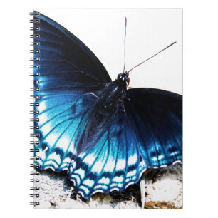 Mooie blauwe vlinder notitieboek