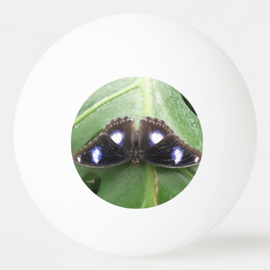 Mooie blauwe vlinder Ping Ball (Achterkant)