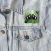 Mooie blauwe vlinderButton Vierkante Button 5,1 Cm (In situ)