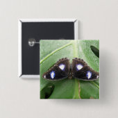 Mooie blauwe vlinderButton Vierkante Button 5,1 Cm (Voorkant /achterkant)