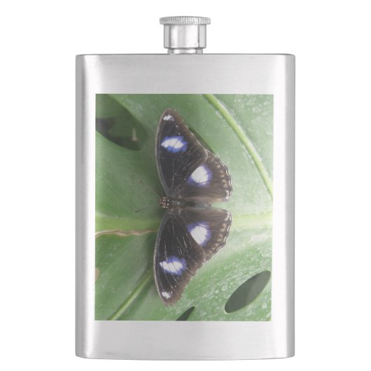 Mooie blauwe vlinderfles heupfles (Voorkant)